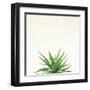 Succulent Simplicity I Neutral-Felicity Bradley-Framed Art Print