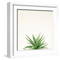 Succulent Simplicity I Neutral-Felicity Bradley-Framed Art Print