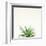 Succulent Simplicity I Neutral-Felicity Bradley-Framed Art Print