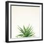 Succulent Simplicity I Neutral-Felicity Bradley-Framed Art Print