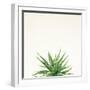 Succulent Simplicity I Neutral-Felicity Bradley-Framed Art Print