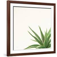 Succulent Simplicity II Neutral-Felicity Bradley-Framed Art Print