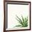 Succulent Simplicity II Neutral-Felicity Bradley-Framed Art Print