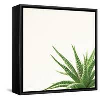 Succulent Simplicity II Neutral-Felicity Bradley-Framed Stretched Canvas