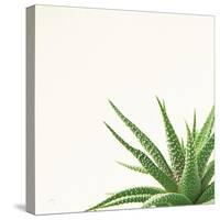 Succulent Simplicity II Neutral-Felicity Bradley-Stretched Canvas