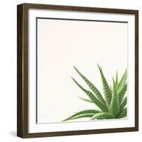 Succulent Simplicity II Neutral-Felicity Bradley-Framed Art Print