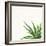 Succulent Simplicity II Neutral-Felicity Bradley-Framed Art Print