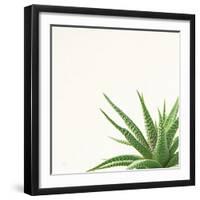 Succulent Simplicity II Neutral-Felicity Bradley-Framed Art Print