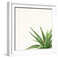 Succulent Simplicity II Neutral-Felicity Bradley-Framed Art Print