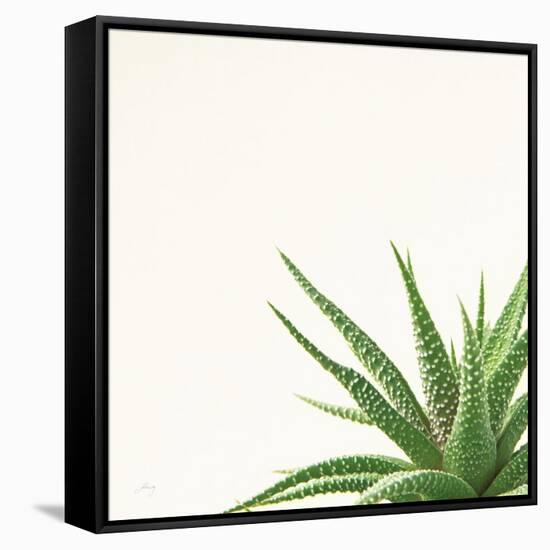 Succulent Simplicity II Neutral-Felicity Bradley-Framed Stretched Canvas