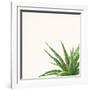 Succulent Simplicity II Neutral-Felicity Bradley-Framed Art Print