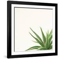 Succulent Simplicity II Neutral-Felicity Bradley-Framed Art Print