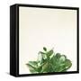 Succulent Simplicity III Neutral-Felicity Bradley-Framed Stretched Canvas