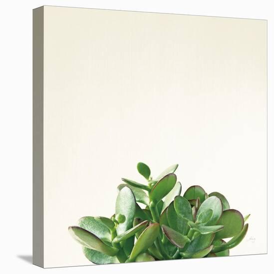 Succulent Simplicity III Neutral-Felicity Bradley-Stretched Canvas