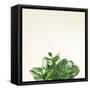 Succulent Simplicity III Neutral-Felicity Bradley-Framed Stretched Canvas