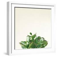 Succulent Simplicity III Neutral-Felicity Bradley-Framed Art Print