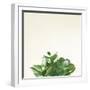 Succulent Simplicity III Neutral-Felicity Bradley-Framed Art Print