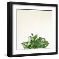 Succulent Simplicity III Neutral-Felicity Bradley-Framed Art Print