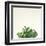 Succulent Simplicity III Neutral-Felicity Bradley-Framed Art Print