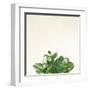 Succulent Simplicity III Neutral-Felicity Bradley-Framed Art Print