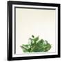 Succulent Simplicity III Neutral-Felicity Bradley-Framed Art Print