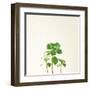 Succulent Simplicity IX Neutral-Felicity Bradley-Framed Art Print