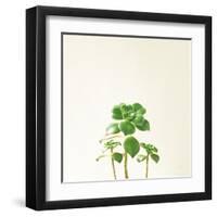 Succulent Simplicity IX Neutral-Felicity Bradley-Framed Art Print