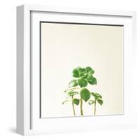 Succulent Simplicity IX Neutral-Felicity Bradley-Framed Art Print