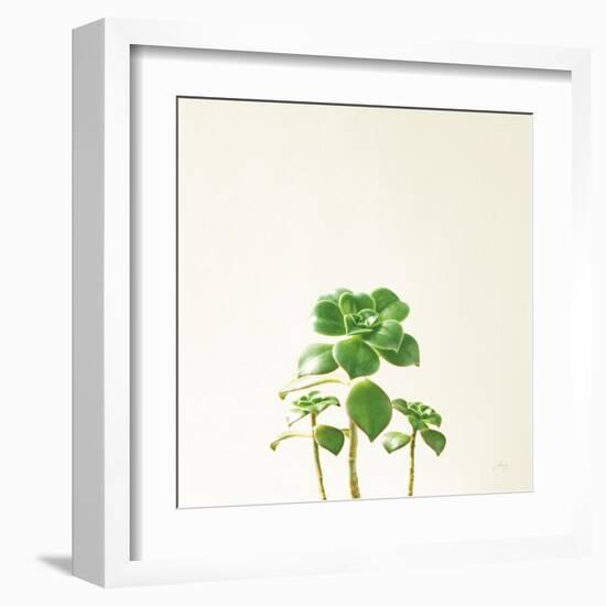 Succulent Simplicity IX Neutral-Felicity Bradley-Framed Art Print