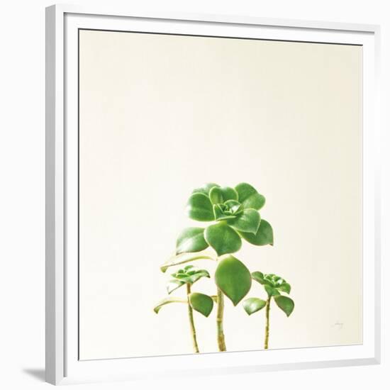 Succulent Simplicity IX Neutral-Felicity Bradley-Framed Premium Giclee Print