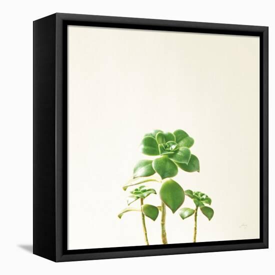 Succulent Simplicity IX Neutral-Felicity Bradley-Framed Stretched Canvas