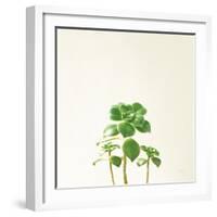 Succulent Simplicity IX Neutral-Felicity Bradley-Framed Art Print