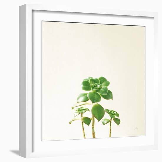 Succulent Simplicity IX Neutral-Felicity Bradley-Framed Art Print