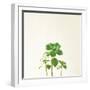 Succulent Simplicity IX Neutral-Felicity Bradley-Framed Art Print