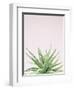 Succulent Simplicity Soft I Crop-Felicity Bradley-Framed Photographic Print