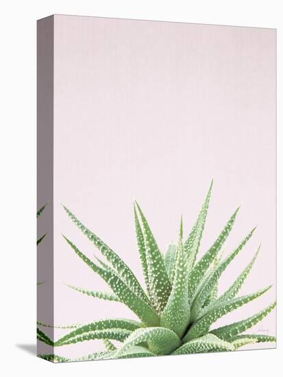 Succulent Simplicity Soft I Crop-Felicity Bradley-Stretched Canvas