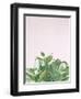 Succulent Simplicity Soft III Crop-Felicity Bradley-Framed Photographic Print