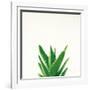 Succulent Simplicity V Neutral-Felicity Bradley-Framed Art Print