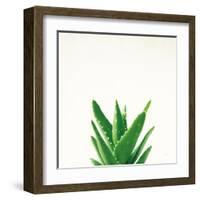 Succulent Simplicity V Neutral-Felicity Bradley-Framed Art Print