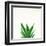 Succulent Simplicity V Neutral-Felicity Bradley-Framed Art Print