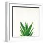 Succulent Simplicity V Neutral-Felicity Bradley-Framed Art Print