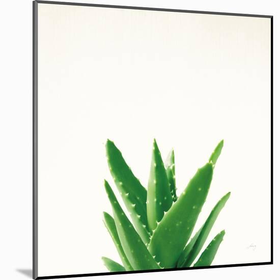 Succulent Simplicity V Neutral-Felicity Bradley-Mounted Art Print