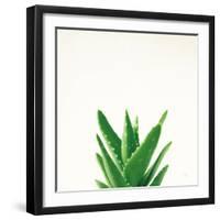 Succulent Simplicity V Neutral-Felicity Bradley-Framed Art Print