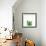 Succulent Simplicity V Neutral-Felicity Bradley-Framed Art Print displayed on a wall