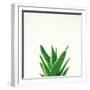 Succulent Simplicity V Neutral-Felicity Bradley-Framed Art Print