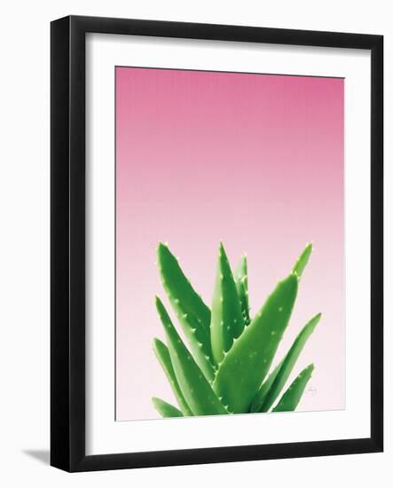 Succulent Simplicity V Pink Ombre Crop-Felicity Bradley-Framed Art Print