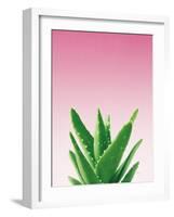 Succulent Simplicity V Pink Ombre Crop-Felicity Bradley-Framed Art Print