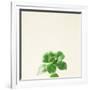 Succulent Simplicity VII Neutral-Felicity Bradley-Framed Premium Giclee Print