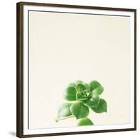 Succulent Simplicity VII Neutral-Felicity Bradley-Framed Premium Giclee Print