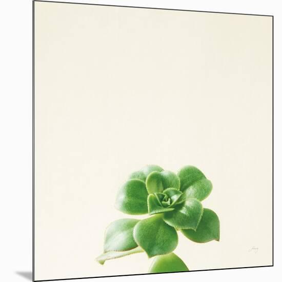 Succulent Simplicity VII Neutral-Felicity Bradley-Mounted Premium Giclee Print